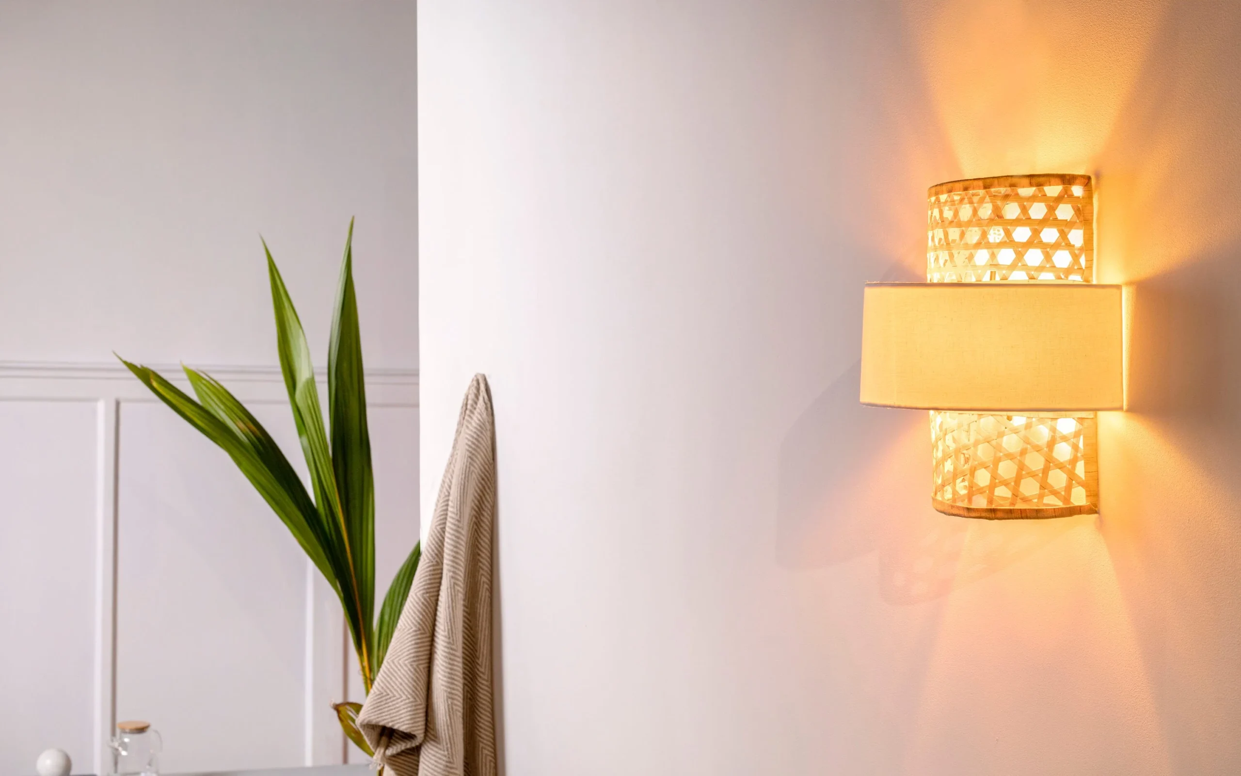 gallery 1 canna wall lamp buy bedroom online scaled